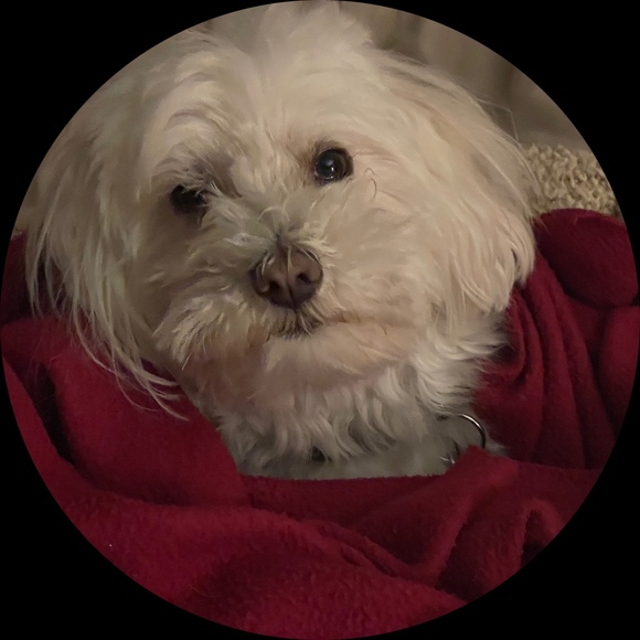 Meet your Posher, Vicki - Picture 1 of 1